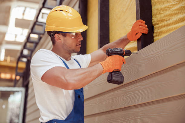 Best Steel Siding Installation  in Newport News, VA