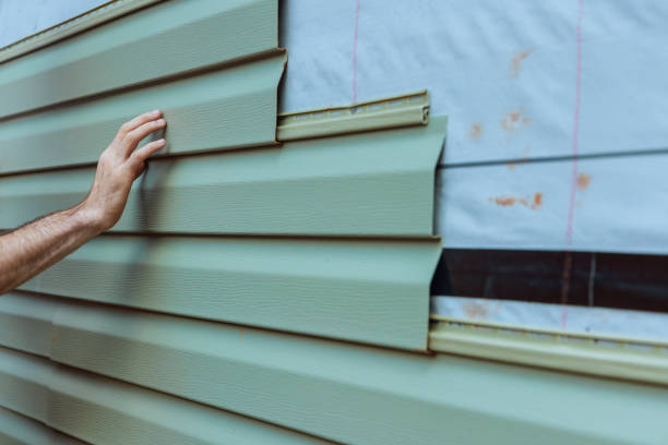 Best Custom Trim and Detailing for Siding  in Newport News, VA